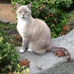 Meet your Posher, Trisha